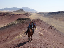 Namibia-Namibia-Damara Elephant Trail to Skeleton Coast